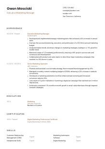 Executive Marketing Manager Resume Template #1