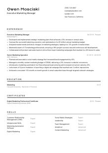 Executive Marketing Manager CV Template #2