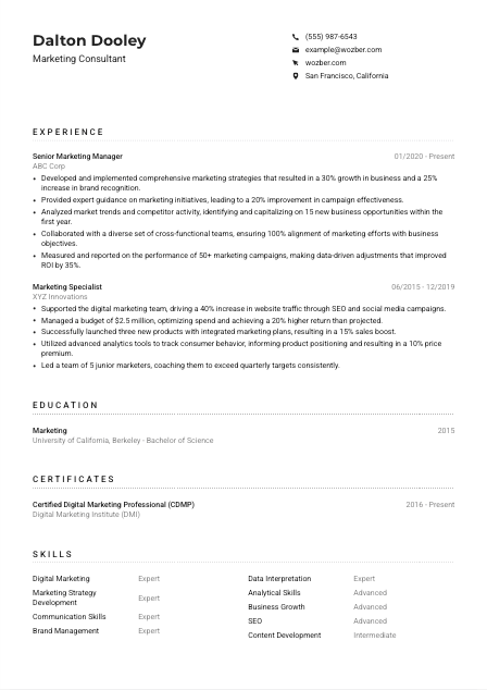 Marketing Consultant Resume Example