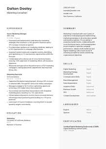 Marketing Consultant CV Template #2