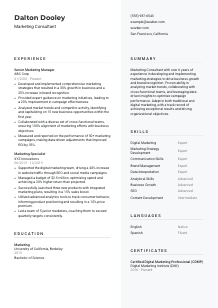 Marketing Consultant Resume Template #2