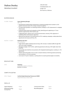 Marketing Consultant CV Template #1