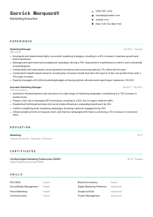 Marketing Executive CV Template #3