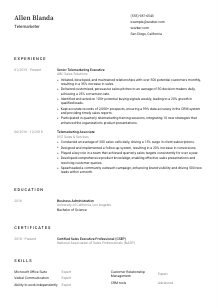 Telemarketer CV Template #1