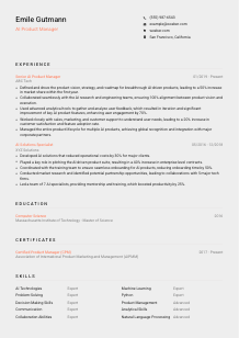 AI Product Manager CV Template #3