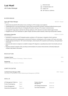 API Product Manager CV Example