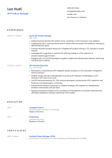 API Product Manager CV Template #8
