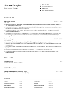 Data Product Manager CV Example