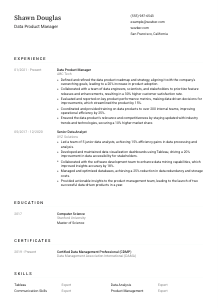 Data Product Manager CV Template #1
