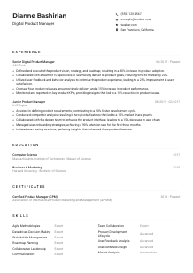 Digital Product Manager CV Example