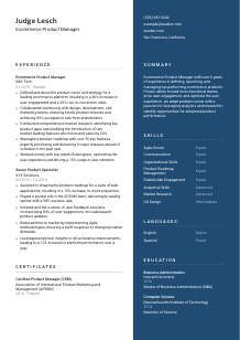 Ecommerce Product Manager Resume Template #2
