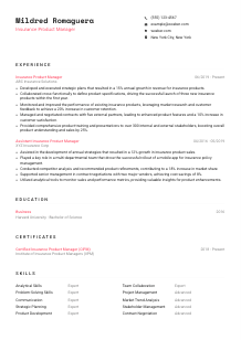 Insurance Product Manager CV Template #1