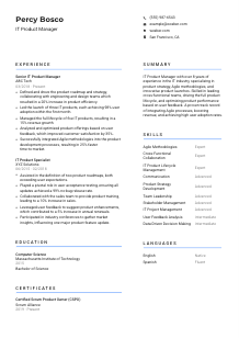 IT Product Manager Resume Template #2