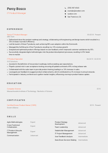 IT Product Manager Resume Template #3