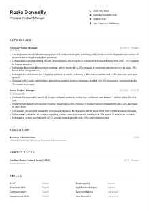 Principal Product Manager CV Example
