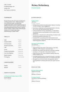 Product Owner Resume Template #2