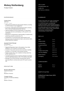 Product Owner Resume Template #3