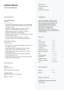 SaaS Product Manager CV Template #2