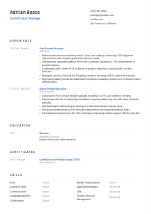 SaaS Product Manager CV Template #1