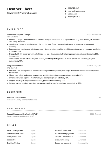 Government Program Manager CV Example