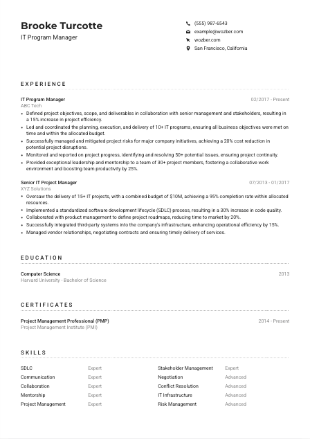 IT Program Manager CV Example