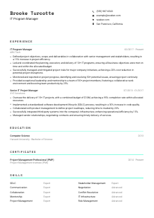 IT Program Manager CV Template #3