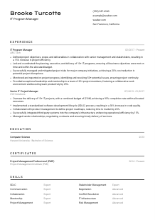 IT Program Manager CV Template #2