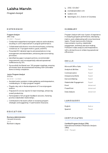 Program Analyst CV Template #2