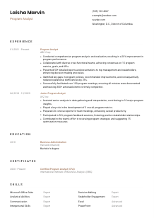 Program Analyst CV Template #1