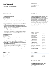 Technical Program Manager Resume Template #5