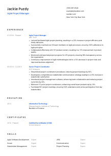 Agile Project Manager Resume Template #8