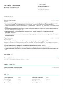Assistant Project Manager CV Template #3