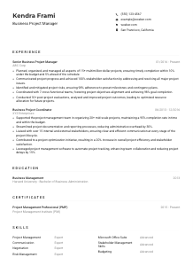 Business Project Manager CV Example