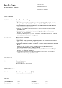 Business Project Manager Resume Template #1