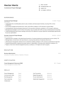 Commercial Project Manager CV Example