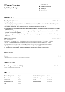 Digital Project Manager Resume Example