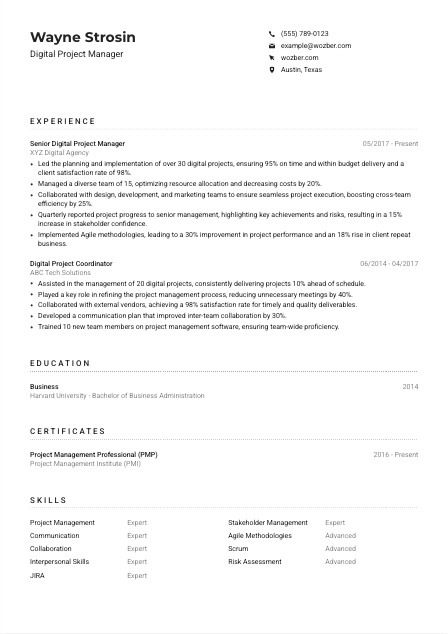 Digital Project Manager CV Example