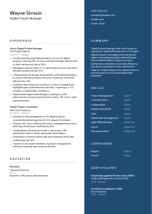 Digital Project Manager CV Template #2