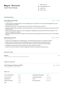 Digital Project Manager CV Template #3