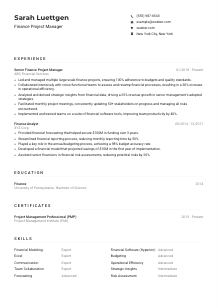 Finance Project Manager Resume Example
