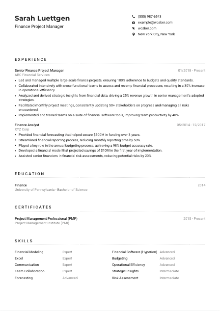 Finance Project Manager Resume Example