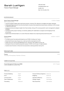 Finance Project Manager CV Template #9
