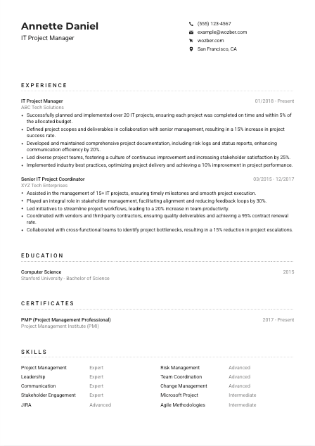 IT Project Manager Resume Example
