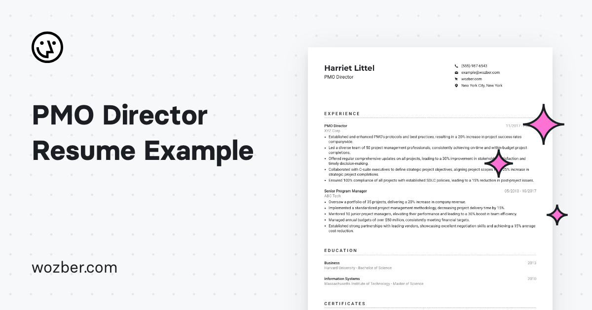 PMO Director Resume Example