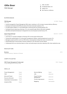 PMO Manager Resume Example