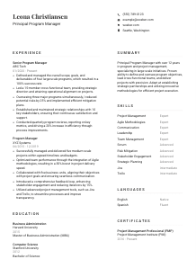 Principal Program Manager CV Template #7