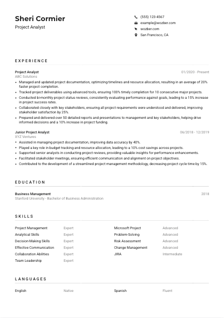 Project Analyst Resume Example