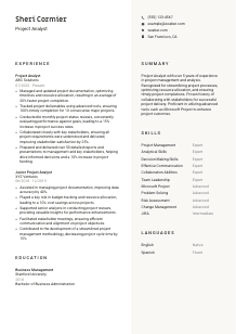 Project Analyst CV Template #2