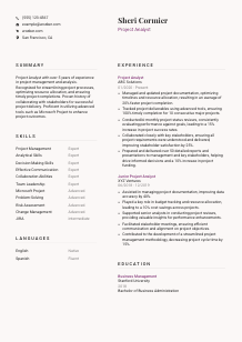 Project Analyst CV Template #3