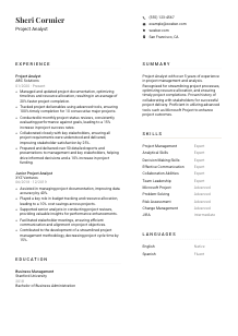 Project Analyst CV Template #1